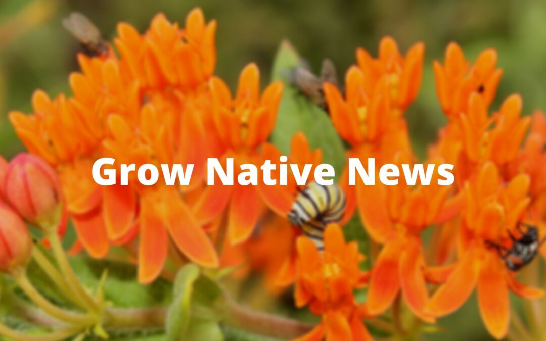 Grow Native! Program Recognizes 20th Anniversary of Promoting Native Plants