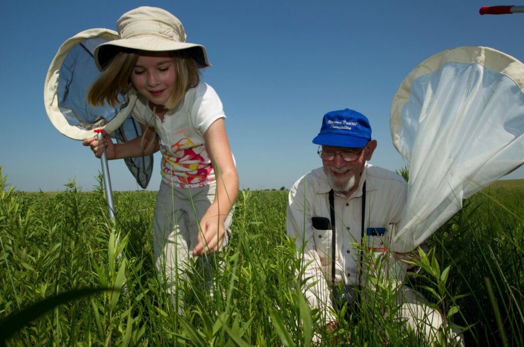 Young girl and older man catching bugs with nets in green field