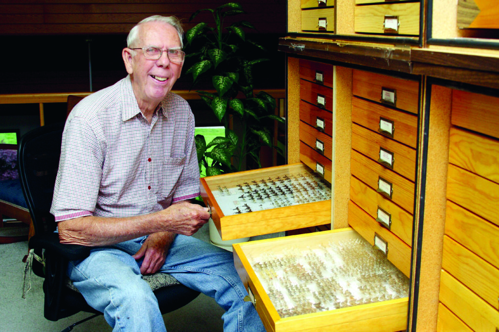 Rae Letsinger sits next to his drawers of pinned moths