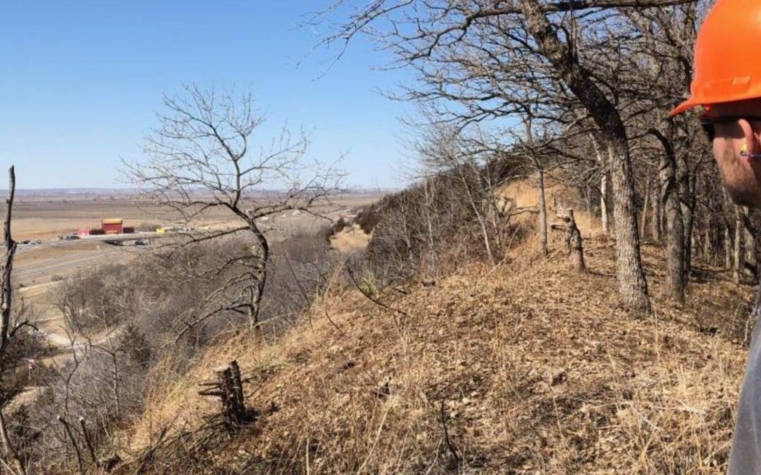 Polson Loess Bluff Prairie Work Day