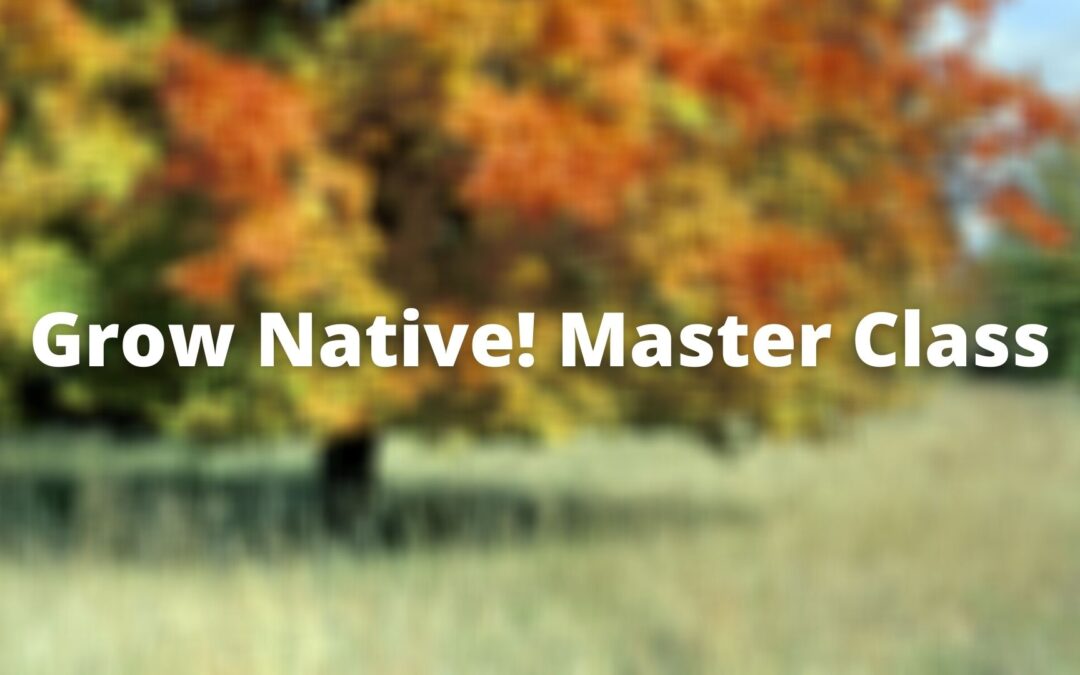 Grow Native! Master Class: Phytoremediation with Native Plants with Eric Fuselier