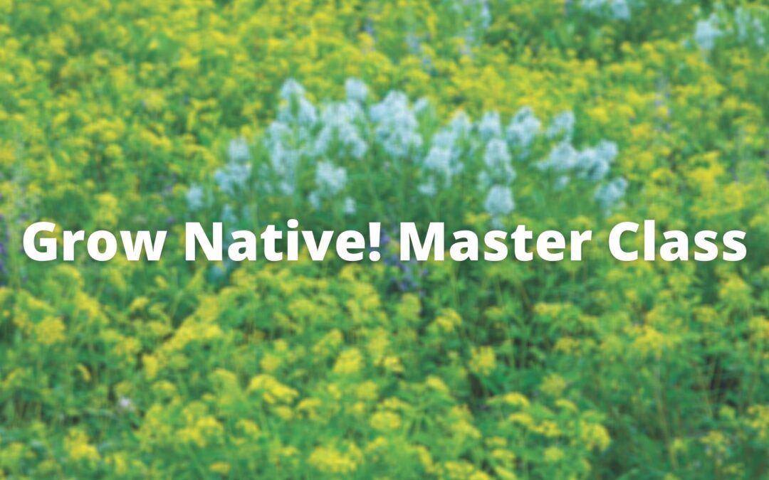 Grow Native! Master Class: Native Alternatives with James Faupel