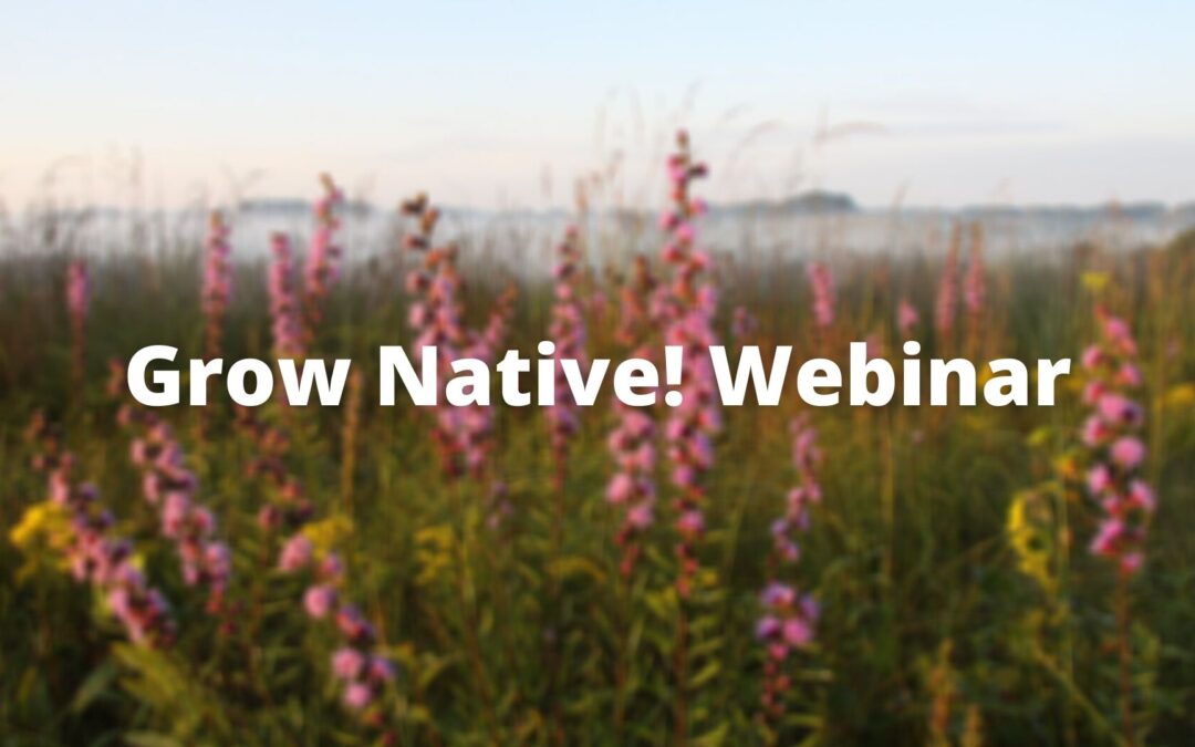 Grow Native! Webinar: Missouri Adopt-A-Highway Program with Native Plants with Mark Aufdenberg