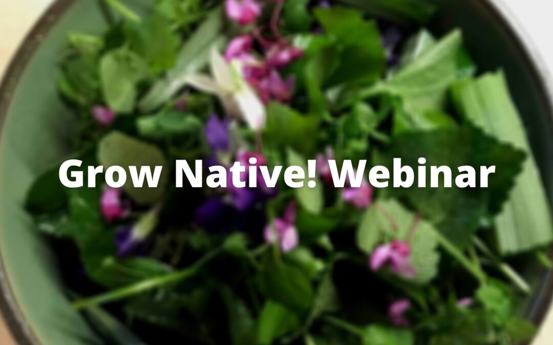 Grow Native! Webinar: 10 Easy-To-Grow Spring Edible Native Plants for Your Garden with Nadia Navarrete-Tindall