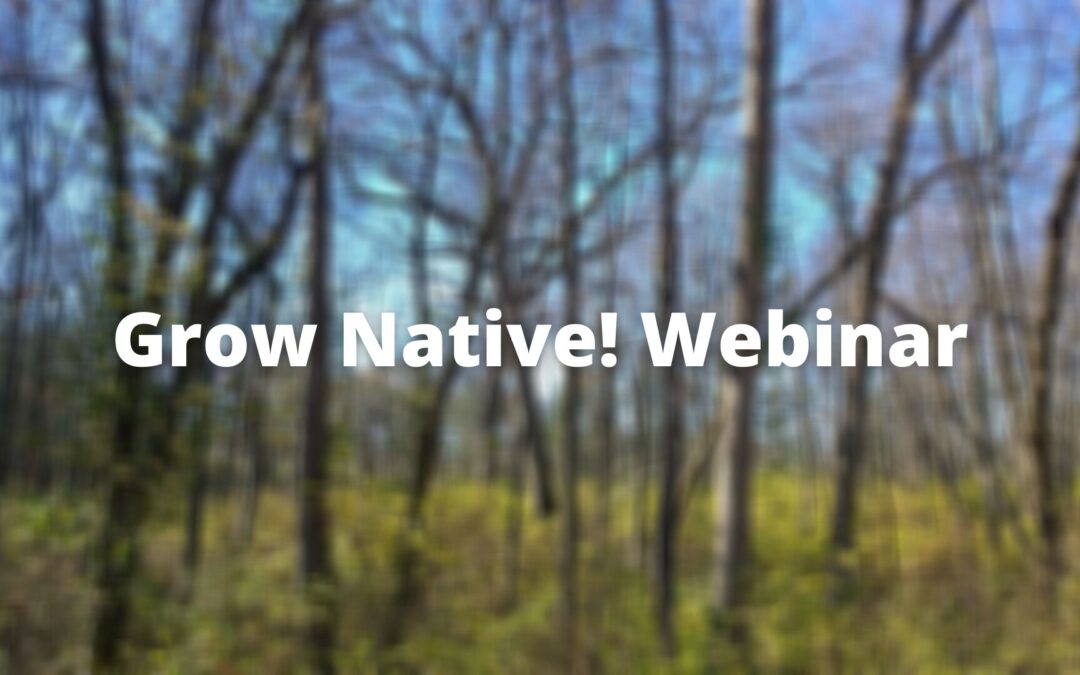 Grow Native! Webinar: Invasive Plant Q & A with Dr. Quinn Long and Matt Arndt