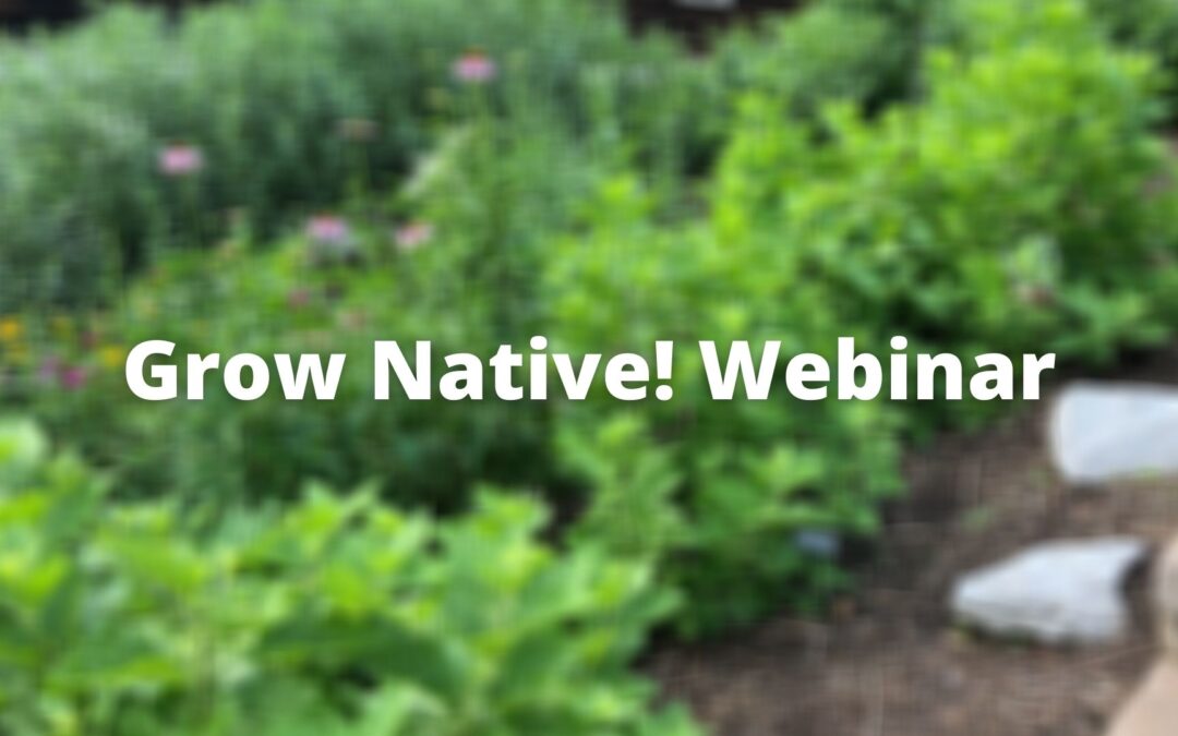 Grow Native! Webinar: Designing with Native Plants with Ronda Burnett
