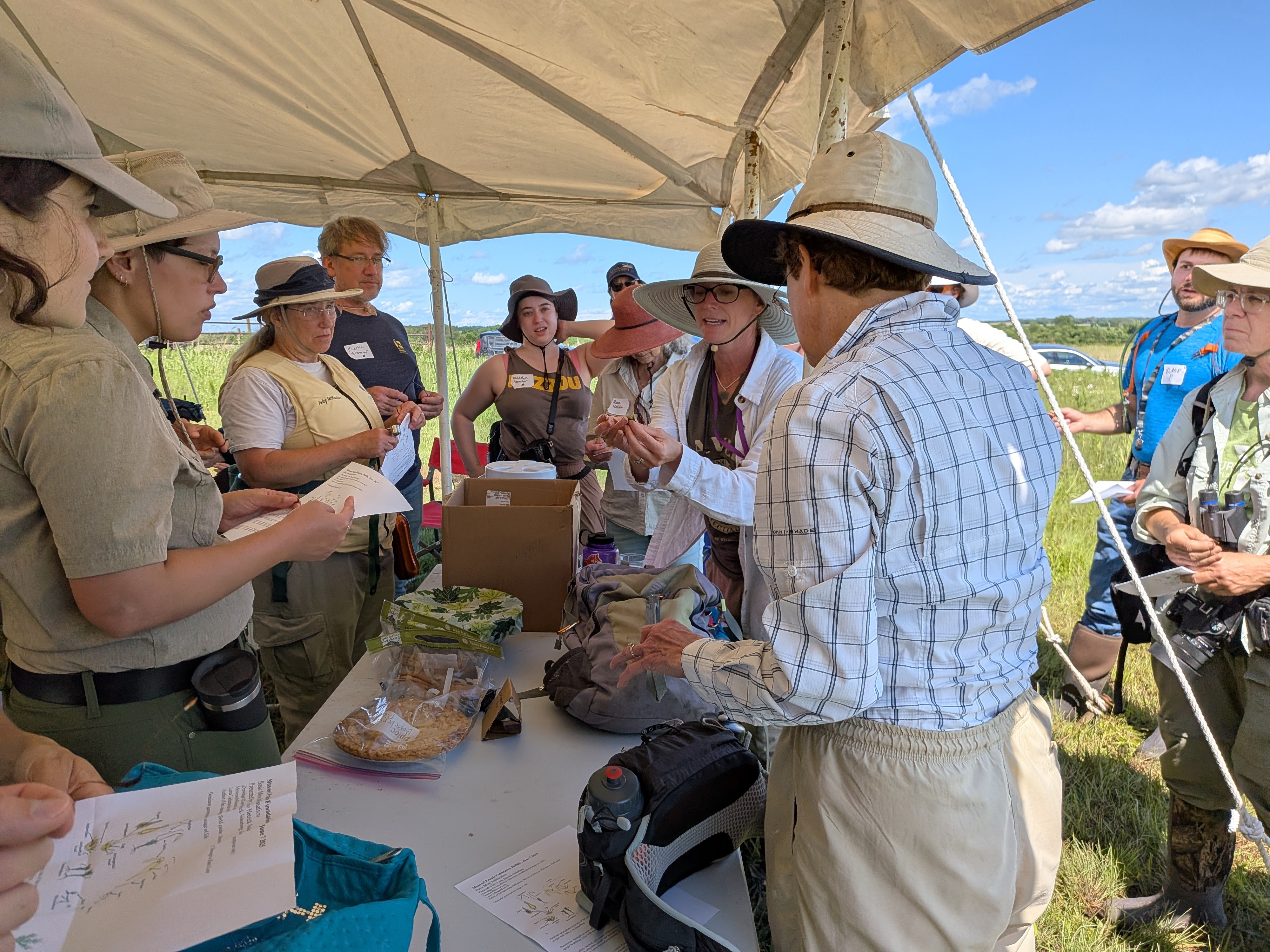 Lori Hetrick Volenberg – bryophyte group – bioblitz 2025 – Lilly Germeroth