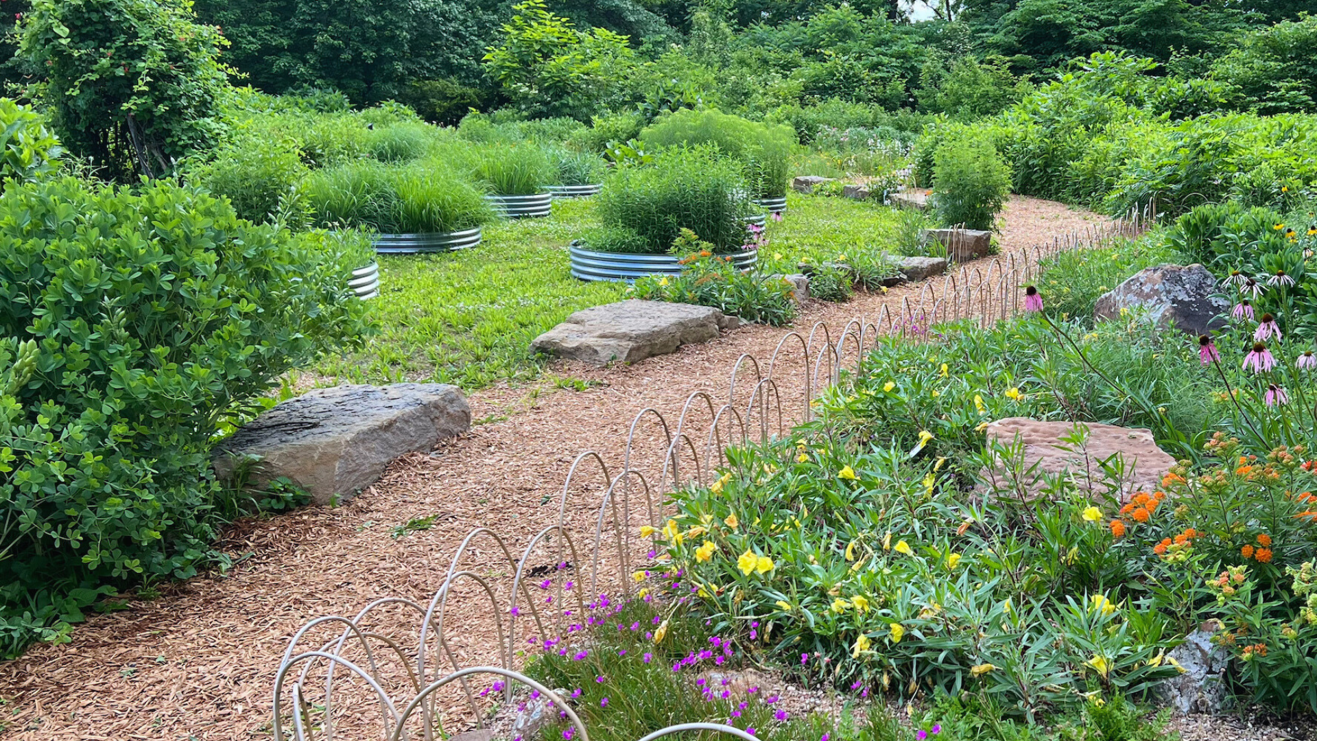 Photo of planting by Pat Whalen